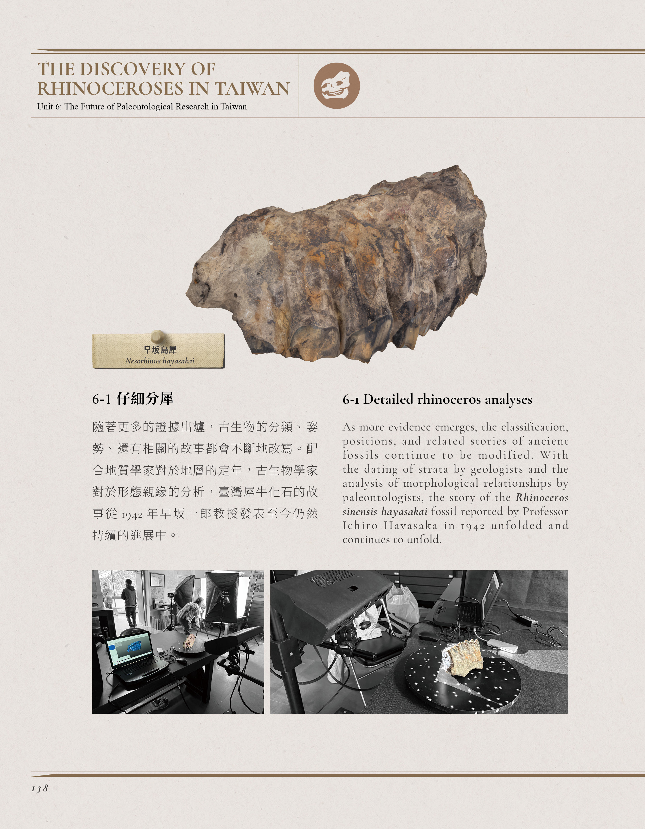 當代田野研究頁——化石大圖 + 黑白研究現場照片
